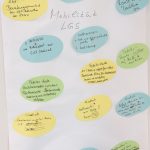 Klimaschutz-Kongress 2017 - Bildrechte:Matthäus Holleschovsky, Bergwaldprojekt e.V. 